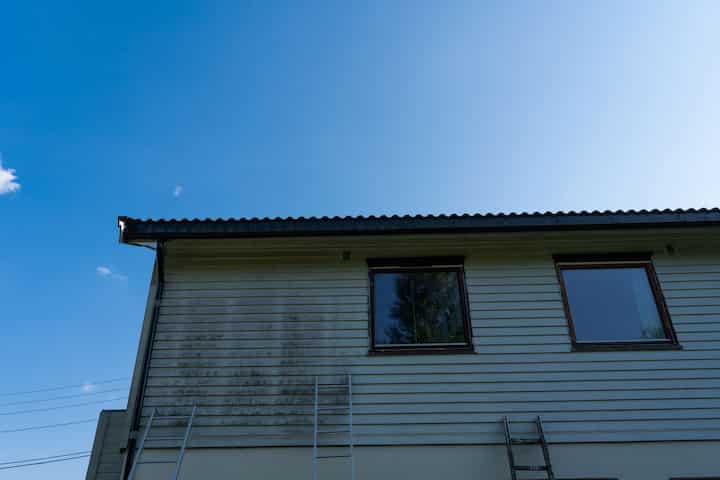 exterior mold removal services Brainerd